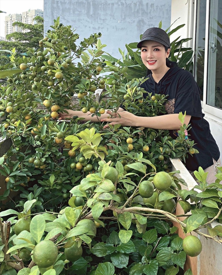 Đặc biệt, căn nhà còn có một khu vườn rộng 200m2. Hoa hậu Giáng My mất nhiều thời gian để thiết kế vườn rau sạch.