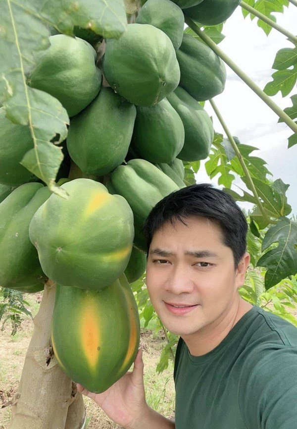 Trong khuôn viên nhà vườn của Minh Luân có đủ các loại cây ăn trái như ổi, sầu riêng, mít, xoài...Ảnh; FBNV