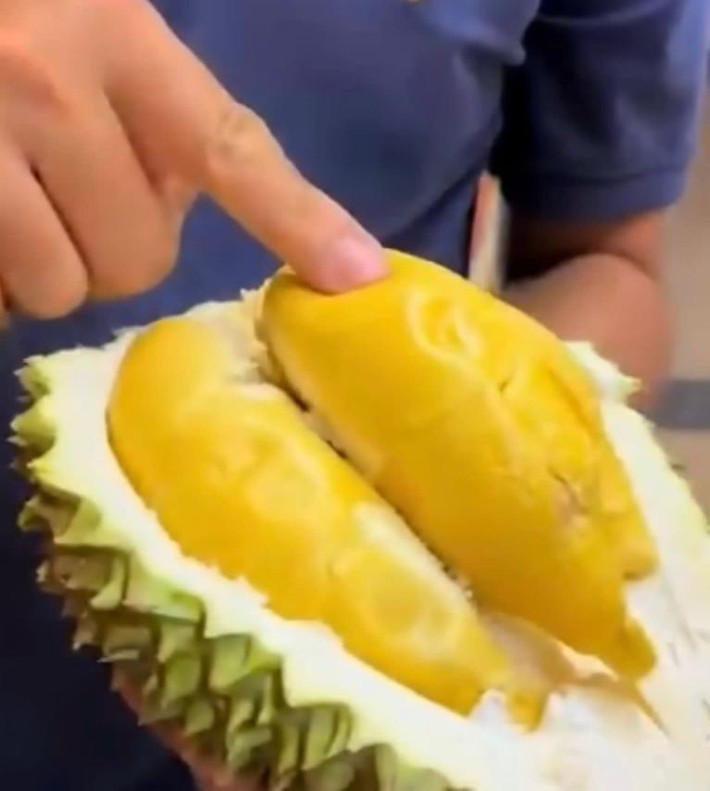 Cơm sầu riêng màu vàng cam bắt mắt, vị đắng ngọt đặc trưng, độ béo vừa phải cùng mùi thơm đậm. Những yếu tố này giúp Tupai King được người tiêu dùng đánh giá cao. Ảnh: Daily Express Malaysia