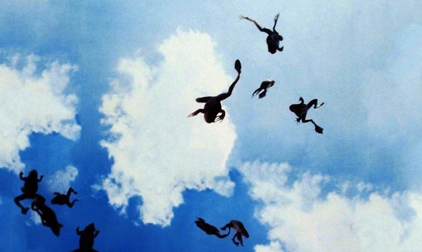 Quái lạ cơn mưa thằn lằn, thịt tươi thình lình xuất hiện trên Trái đất