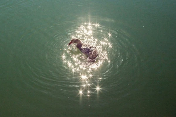 14 bức ảnh vô tình bắt trúng khoảnh khắc trùng hợp đến khó tin