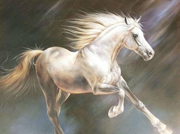 ##ss###style="font-size: 16px;">Tuổi Ngọ. Ngọ chính là con giáp thông minh, lanh lợi, biết tự mình nhìn nhận vấn đề một cách khách quan và tự tìm kiếm cơ hội để xây dựng cuộc sống thăng hoa viên mãn.