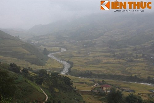 Thung lũng Mường Hoa và những thửa ruộng bậc thang đang mùa lúa chín. Nơi đây trở thành nguồn cảm hứng bất tận cho dân nhiếp ảnh để tạo nên những tác phẩm tuyệt vời. Ảnh: Nguyên Vũ.