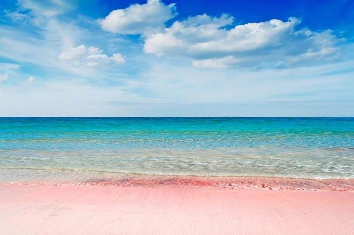 6. Spiaggia Rosa, Ý. Để ngắm nhìn vẻ đẹp của bãi biển, bạn có thể đi bằng thuyền hoặc nhìn từ một vách đá gần đó nhưng không ai được phép đi lên bãi biển. Điều này vốn dĩ là để bảo tồn bãi cát màu hồng rực rỡ của bãi biển.