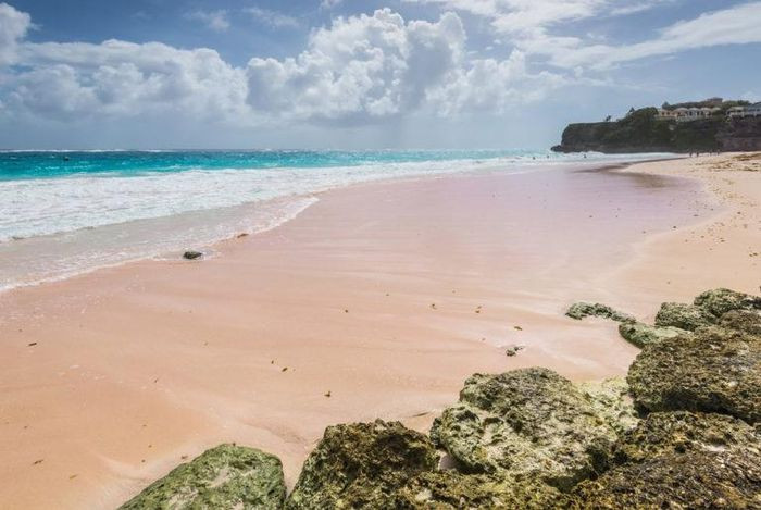 9. Bãi biển Crane, Barbados. Bãi biển này ban đầu là một bến cảng nhưng giờ đây đó lại là nơi có cát và sóng nhuốm màu hồng hoàn hảo. Nơi đây có một rạn san hô đóng vai trò như chiếc rào tự nhiên và biến nó trở thành khu vực bơi lội an toàn. Thậm chí bạn còn có thể nhìn thấy một hoặc hai con rùa biển dưới nước trong chuyến đi của mình.