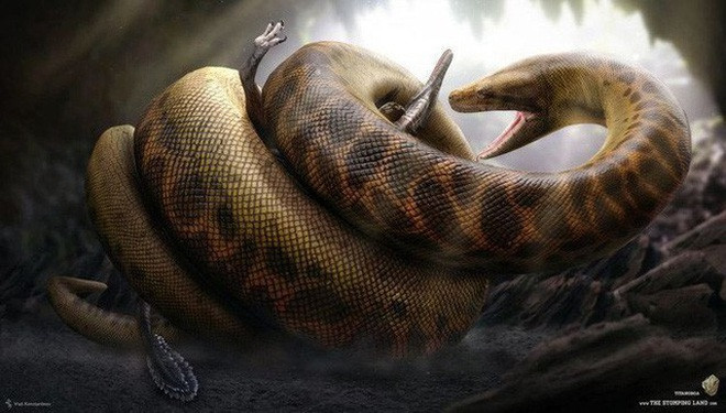 4. Rắn khổng lồ Titanoboa . Loài rắn cổ đại kinh dị nhất trong lịch sử từng được ghi nhận là Titanoboa. Loài này từng sinh sống khoảng từ 60 tới 58 triệu năm trước, trong thế Paleocen (hay thế Cổ Tân).