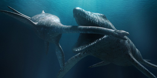 10. "Ông vua biển cả" Liopleurodon. Liopleurodon là vua của những sinh vật biển sống ở kỉ Jura muộn. Chúng còn được biết đến với cái tên Predator X.