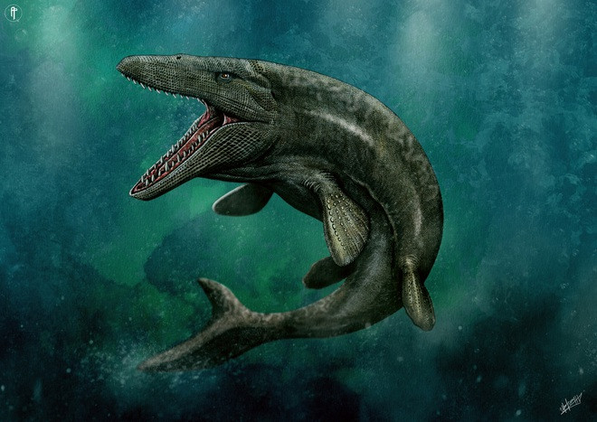 5. Thú săn mồi khổng lồ Mosasaurus. Loài Mosasaurus được coi là thú ăn thịt dưới biển to nhất thời kỷ phấn trắng. Đầu của nó khá giống với cá sấu, dài trên 18m và hàm răng có đến cả trăm chiếc sắc nhọn.