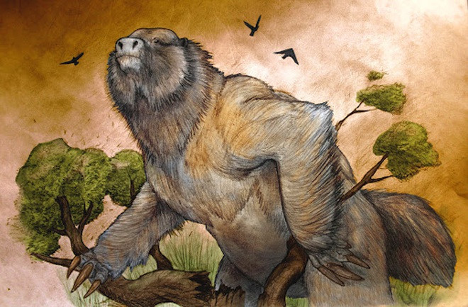 2. "Cỗ máy khát máu" Megatherium. Megatherium là một chi lười đất, sống trên cạn. Loài này có thể nặng đến 5 tấn, có kích cỡ như một con voi và sống vào khoảng 2 triệu đến 8.000 năm về trước.