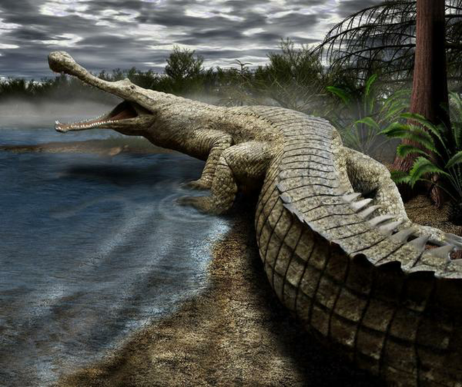 9. Cá sấu cổ đại Sarcosuchus. Sarcosuchus, họ hàng xa của cá sấu sống cách đây 112 triệu năm. Nó có kích thước dài gần gấp đôi một con cá sấu hiện đại và nặng khoảng 8 tấn.