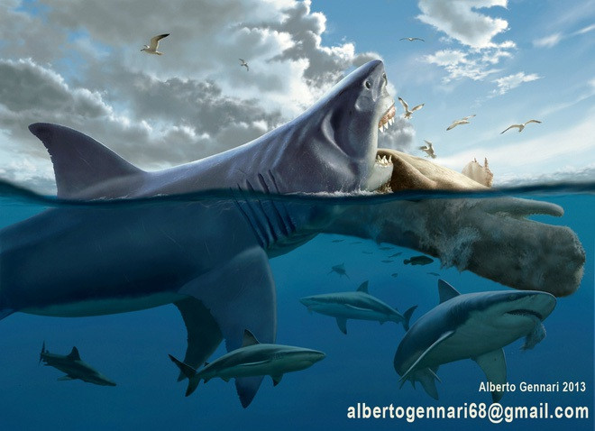 1. Cá mập Megalodon. Cá Mập Megalodon có thể tích như một con tàu ngầm, nặng lên đến 50- 60 tấn là sát thủ kinh hoàng bậc nhất dưới đại dương cổ đại. Với sự thông minh và cấu tạo cơ thể được sinh ra để trở thành quái vật thống trị đại dương, Megalodon gần như không có đối thủ.