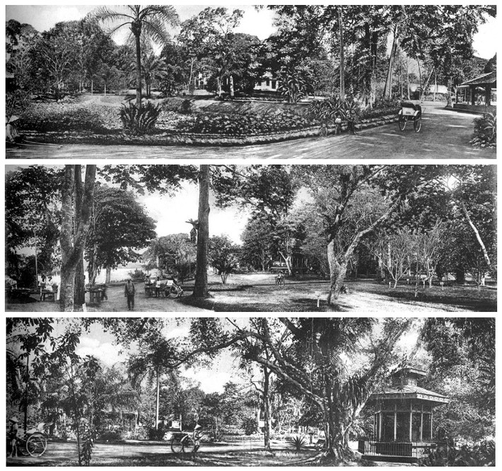 Vườn Bách thảo Sài Gòn được thành lập theo quyết định ngày 10/6/1863 của Đô đốc La Grandière, nằm trên một vùng có diện tích 20 ha, tựa vào rạch Thị Nghè và đối diện với Dinh Toàn quyền, ở phía đầu đại lộ Norodom.