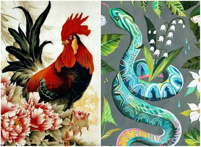 Với bản tính thông minh thiên bẩm, người đàn ông tuổi Dậu rất biết cách kiếm tiền, điều hành gia đình. Trong khi đó, người phụ nữ tuổi Tỵ luôn nổi bật với trí thông minh và có duyên với Thần Tài.