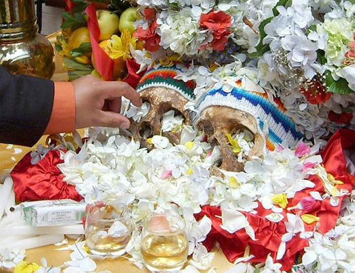 Họ thi nhau trang trí chiếc đầu lâu của mình với hoa, nến và vải lụa, sao cho trông chúng thật bắt mắt.