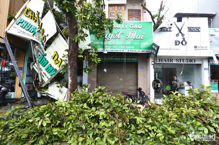 Không chỉ có đường phố, mà ngay trong khuôn viên Bệnh viện Quân y 7B, hơn 10 cây xanh bị bật gốc, đổ vào các tòa nhà.