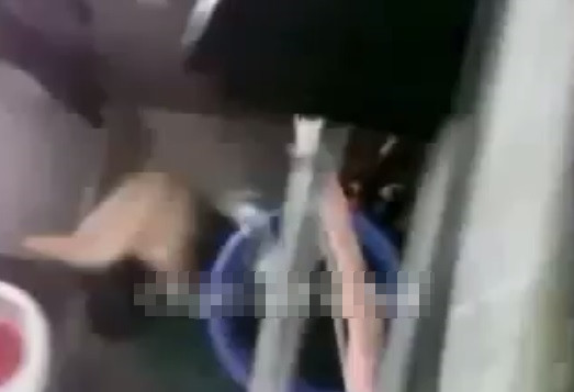 Thời gian qua, cư dân mạng chứng kiến nhiều đoạn clip có cảnh thay đồ của nữ sinh bị đăng, lan truyền công khai trên mạng xã hội.