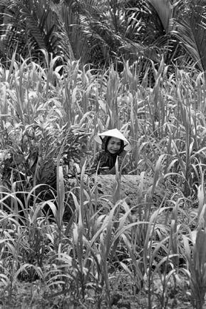 Đồng bằng sông Cửu Long, 1967.