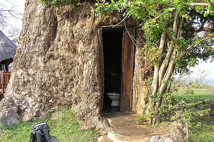 Giờ đây, nhiều cây bao báp trở thành “khách sạn” của nhiều cặp tình nhân. Người ta đã biến khoảng trống bên trong thân cây thành một căn phòng mát mẻ.