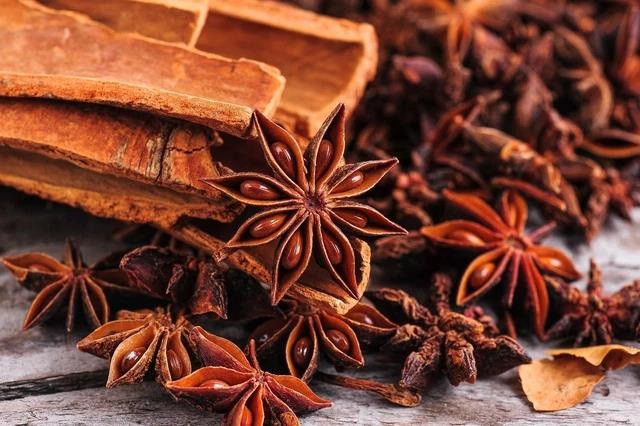 Nếu cây hồi được trồng và chăm sóc đúng kỹ thuật thì sẽ cho năng suất cao và ổn định, kéo dài thời gian thu hoạch lên tới 80 năm.