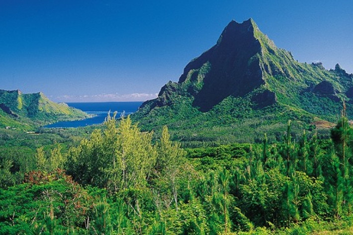 Moorea đang cạnh tranh với Bora Bora là địa điểm tốt nhất dành cho các cặp đôi hưởng tuần trăng mật.