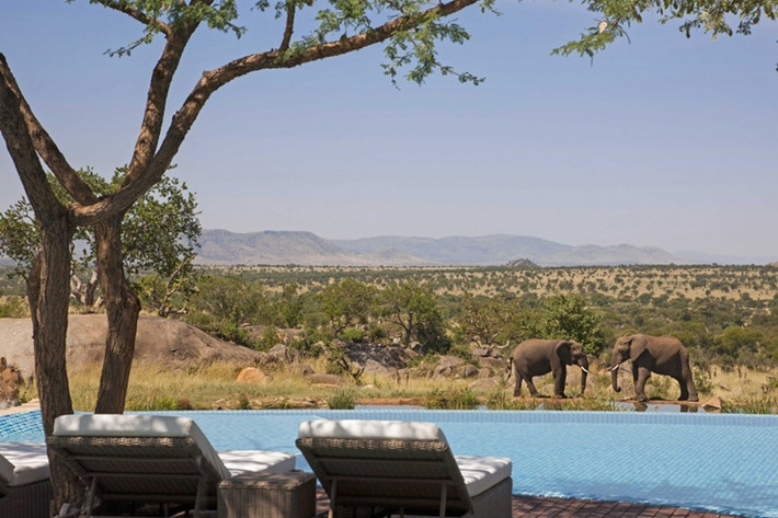 Khách sạn "Bốn Mùa", Serengeti, Tanzania Khu nghỉ dưỡng 5 sao này có 77 phòng được trang trí theo phong cách cổ điển thời thuộc địa. Ngoài việc du ngoạn ngoài trời, du khách còn có thể dùng khinh khí cầu chiêm ngưỡng cuộc sống trên thảo nguyên hoang dã Châu Phi.