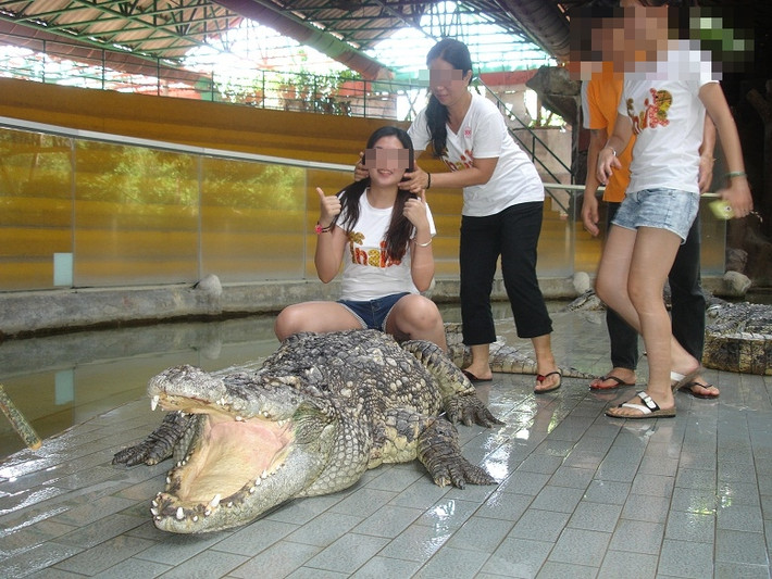 Thú vui "tự sướng" với những loài động vật gớm ghiếc, nguy hiểm như thế này đôi khi thách thức cả những chàng trai dũng cảm. Tuy nhiên với các cô gái này, đây cũng chỉ là chuyện nhỏ.