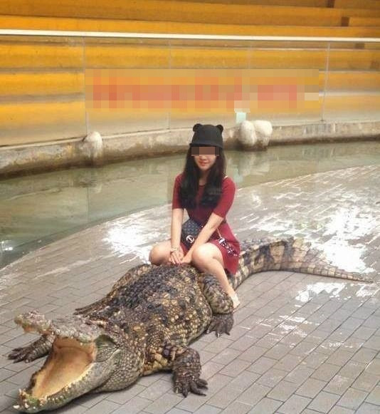 Thiếu nữ hồn nhiên ngồi trên lưng cá sấu, chụp ảnh tự sướng khoe với bạn bè.