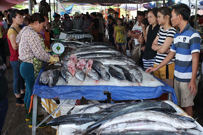 Một quầy bán cá thu.