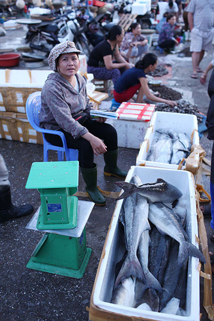 Đặc sản cá giò.