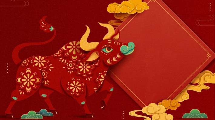 Tài chính khá ảm đạm, chưa có dấu hiệu phát triển nào đáng kể trong tuần này. Bạn cần dành thời gian để nhìn nhận lại những việc mình đã và đang làm, nếu sai ở đâu thì cần nhanh chóng khắc phục, sửa chữa.