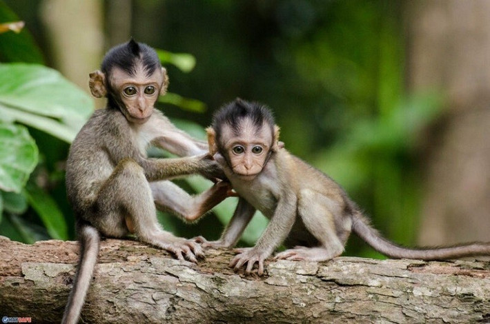 Bản mệnh không còn gặp nhiều khó khăn trong công việc cũng như cuộc sống. Tương lai, con giáp này không cần phải lo lắng nhiều. Sự nghiệp phát triển tốt, đường tiến thân rộng thênh thang. * Thông tin mang tính chất tham khảo, chiêm nghiệm.