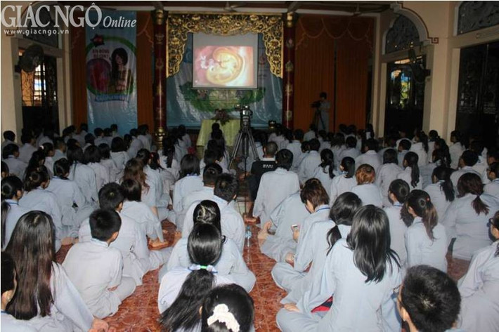 Xem phim tư liệu về nạo phá thai.