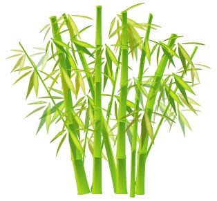 Cây tre: Cây tre từ lâu đã được xem là biểu tượng của tài lộc trường kỳ bởi tính kiên cường và khả năng xanh tốt cả bốn mùa, đặc biệt là những ngày đông. Treo tranh cây tre trong văn phòng và nhà ở sẽ tạo ra năng lượng về sự bảo vệ và may mắn cho gia chủ, đặc biệt dễ vượt qua những giai đoạn kinh doanh khó khăn và ngày càng phát đạt.