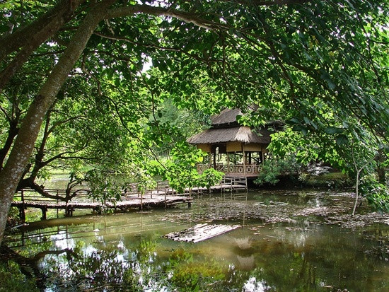 Cảnh quan xung quanh khuôn viên chùa.