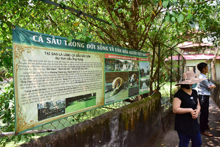 Trại cá sấu gắn bảng kể về sự tích làng cá sấu Sài Gòn cho khách tìm hiểu thông tin: “Hơn 300 năm trước Sài Gòn là vùng đất rừng rậm, chằng chịt sông rạch, mọi sự đi lại chỉ toàn dùng ghe, thuyền. Bà con đi khai phá, mặc dù được thiên nhiên ưu đãi vô số tôm, cá, ốc dưới sông, nhiều loại thú trên rừng nhưng phải luôn nơm nớp lo sợ đối phó với hiểm hoa cá sấu và cọp. Cá sấu để lại nhiều địa danh và điển tích của Sài Gòn xưa như Bến Nghé, Rạch Cầu Sấu, dữ như Sấu Vũng Gấm… Làng cá sấu ở hai phường Thạnh Lộc, Thạnh Xuân, quận 12 chỉ cách sông Sài Gòn 200m cùng từng là giang sơn lừng lẫy của cá sấu, thủa xưa ở đây chỉ toàn mương rạch, không có đường đi bộ. Cá sấu thường tụ tập dưới sông, cọp trên bờ kiếm mồi”.