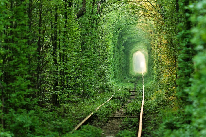 "Đường hầm tình yêu" ở Klevan, Ukraine.