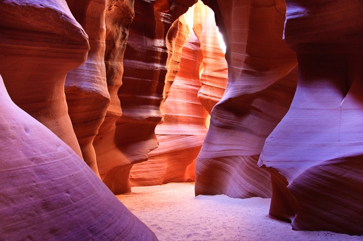 "Động linh dương" ở Arizona, Mỹ.
