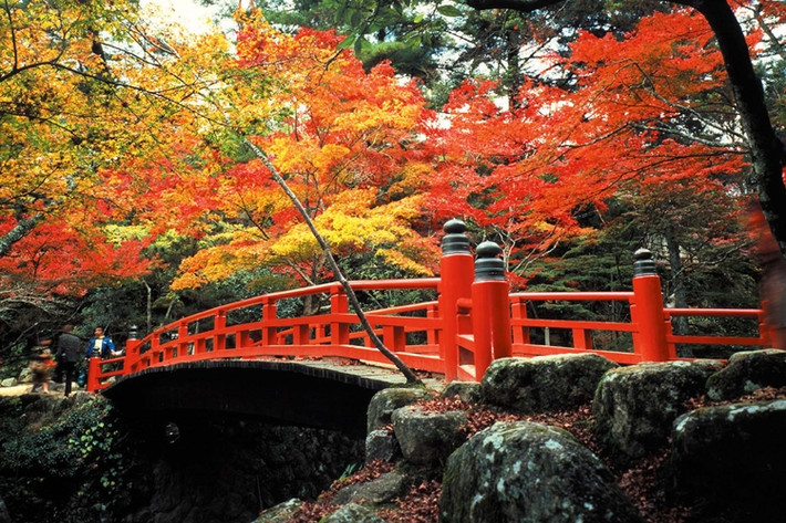 2. Thị trấn Miyajima, Nhật Bản: Biển là một phần của sự quyến rũ của Miyajima. Du khách cần đi theo con đường chính và bước lên một cầu thang dẫn đến ngôi chùa ở chân núi Misen danh lam thắng cảnh.