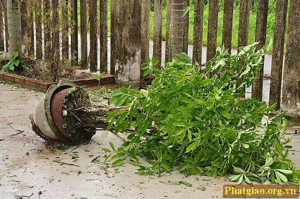 Đâu cũng thấy ngổn ngang...