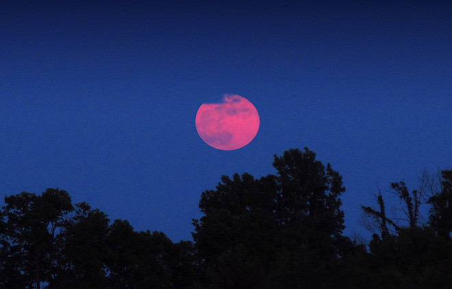 Theo Almanac, thời điểm tốt nhất để có thể quan sát Strawberry Moon đó chính là lúc 18h51 phút đến 21h47 phút (giờ Việt Nam) ngày 14/6 (tức ngày 16 tháng 5 âm lịch). Mặt Trăng sẽ xuất đạt đỉnh cao nhất trên bầu trời trong đêm lúc 23h46 phút.