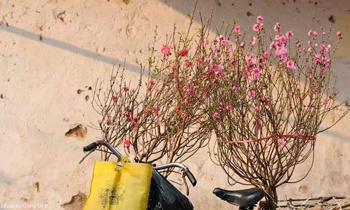 Dù chỉ còn là những bức cũ kỹ chụp từ những năm 90, nhưng hương vị Tết xưa ở trong đó vẫn khiến nhiều người rung động.
