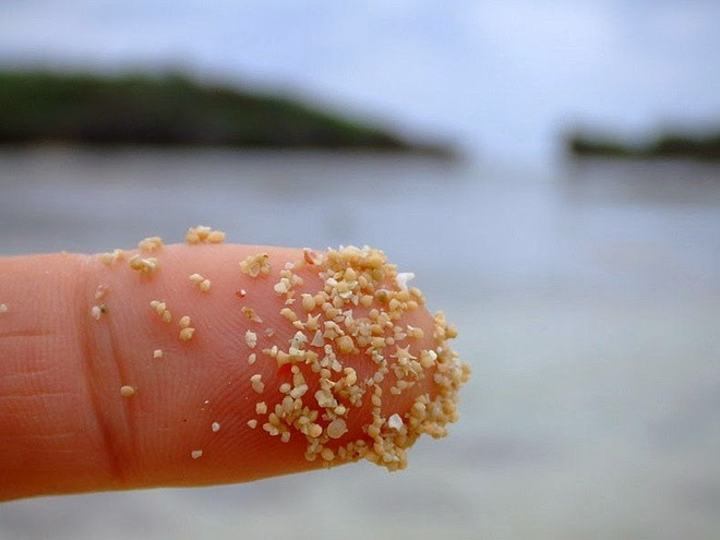 Cái tên “Hoshizuna-no-Hama” khi được dịch ra cũng mang ý nghĩa là Cát có hình dạng ngôi sao. Chính nhờ điều độc đáo này mà bãi biển tuy nhỏ bé nhưng là điểm đến hút khách và nổi tiếng tại Nhật Bản.