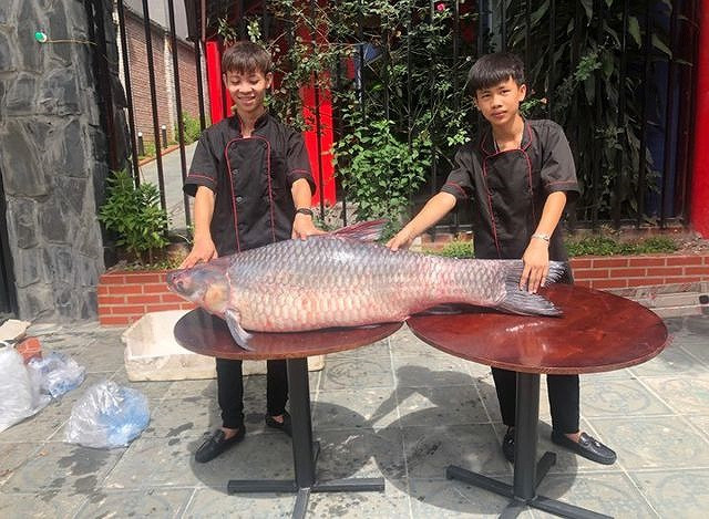 Ngay khi biết tin ngư dân đánh bắt được cá “khủng”, nhiều chủ cửa hàng đã có mặt để thương lượng mua lại. Dù không tiết lộ giá, song người sở hữu được con cá trắm đen "khủng" như quái vật cũng phải bỏ ra một số tiền không nhỏ.
