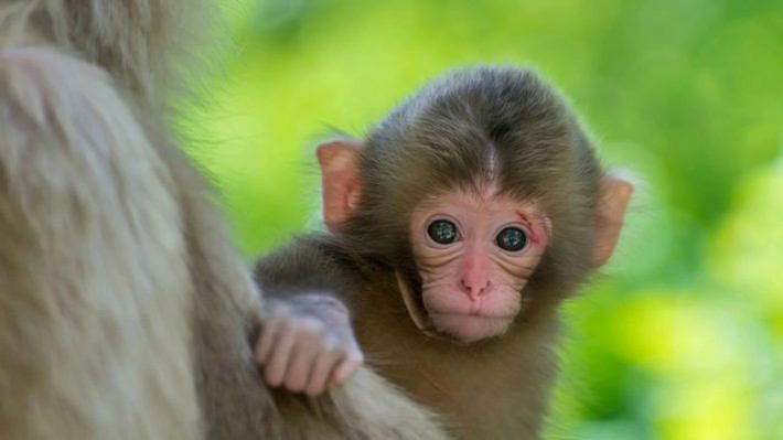 Những ai làm công ăn lương cũng có cơ hội được thăng tiến lên chức vụ cao hơn trong năm 2025. (Thông tin trong bài chỉ mang tính tham khảo).
