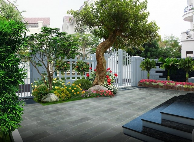 2. Cây cổ thụ trong vườn nhà xanh tươi to lớn, sinh sôi nảy nở. Trong phong thủy cây cối cũng có linh khí riêng của mình, tình trạng của cây cối trong nhà cũng là thước đo độ thịnh vượng cho mỗi ngôi nhà. Khi cây trồng héo úa, gia chủ cần khắc phục ngay kẻo dễ sinh hao tổn tiền bạc, đau ốm.