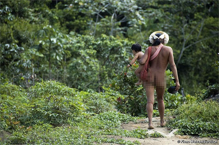 Người Zo’e rất dân chủ. Họ không có tộc trưởng, hay người lãnh đạo. Tuy nhiên ý kiến của người đàn ông có uy tín, sức mạnh vẫn được đề cao.