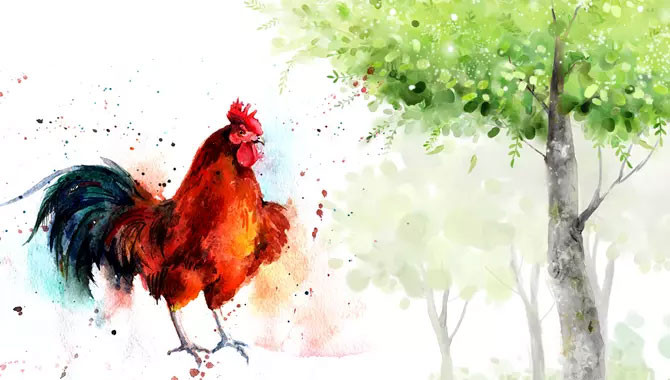 Tháng 12: Trận chiến cuối năm. Khi một năm sắp kết thúc, tháng 12 mang đến cơ hội hoàn hảo cho những người tuổi Dậu kết thúc năm bằng việc lập kế hoạch tài chính. Lúc này, họ có thể nhận được số tiền bất ngờ hoặc kiếm được lợi nhuận khổng lồ thông qua đầu tư khôn ngoan.