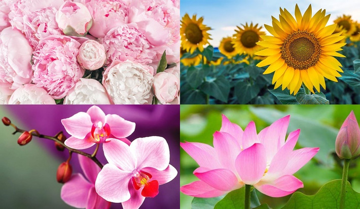 Bất kể vấn đề lớn đến đâu, họ có thể giải quyết nó và giai đoạn khó khăn này sẽ không kéo dài quá lâu. Trong năm nay, mặc dù nửa đầu năm có một số khó khăn nhưng đến cuối năm, tất cả những điều này sẽ được giải quyết. Và người sinh vào thời điểm Âm lịch này sẽ trở thành người chiến thắng tại nơi làm việc.