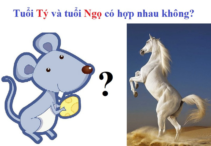 Do đó, nếu cứ khăng khăng đến với nhau, không sớm thì muộn cả hai sẽ nảy sinh mâu thuẫn, không tìm được tiếng nói chung, từ đó khiến hôn nhân trở thành “nấm mồ của tình yêu”.