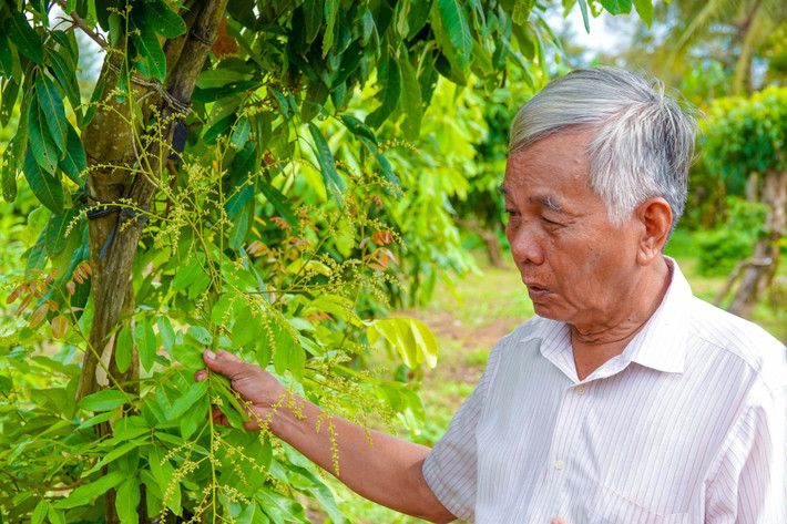 Ông Phúc xuất thân từ nông dân nghèo. Hồi năm 1992, thấy làm lúa không hiệu quả, ông cải tạo đất, lên liếp trồng nhãn Ido. Nhờ cây nhãn mà ông Phúc có "của ăn của để". Đến nay, ông đã có 4ha đất trồng cây ăn trái.
